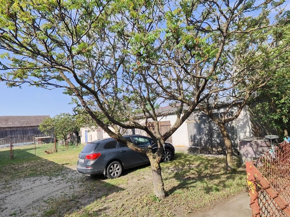 Siedlisko z dużą działką – dom 80 m² + budynki gospodarcze | 31 arów