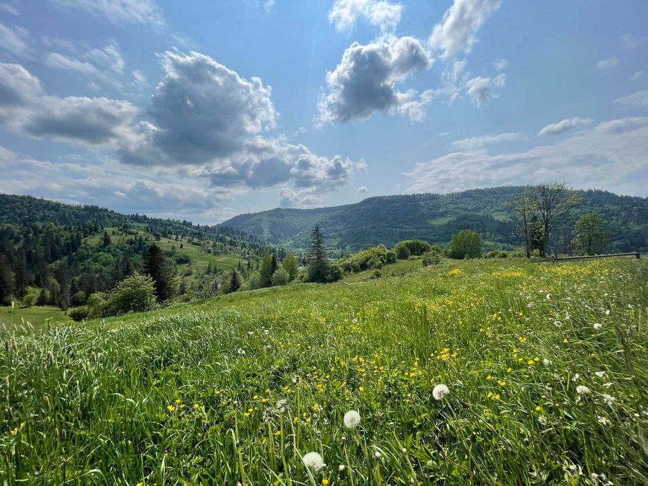Продається земельна ділянка,в Славсько Підніжя гори Захар Беркут