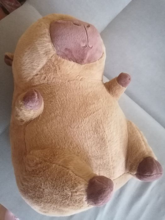 Duża maskotka/Duży pluszak kapibara