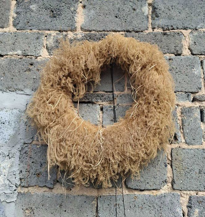 Міскантус китайський