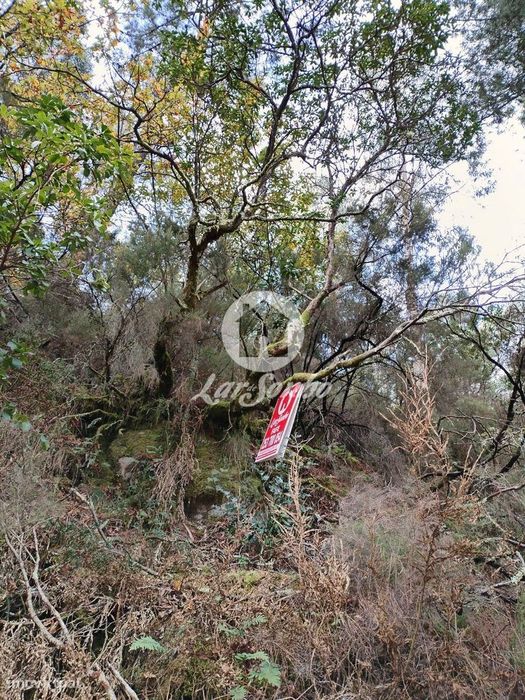 Terreno de 3600m² para Plantação ou Cultivo no Parque Natural do Gerês — Vilar da Veiga, Braga