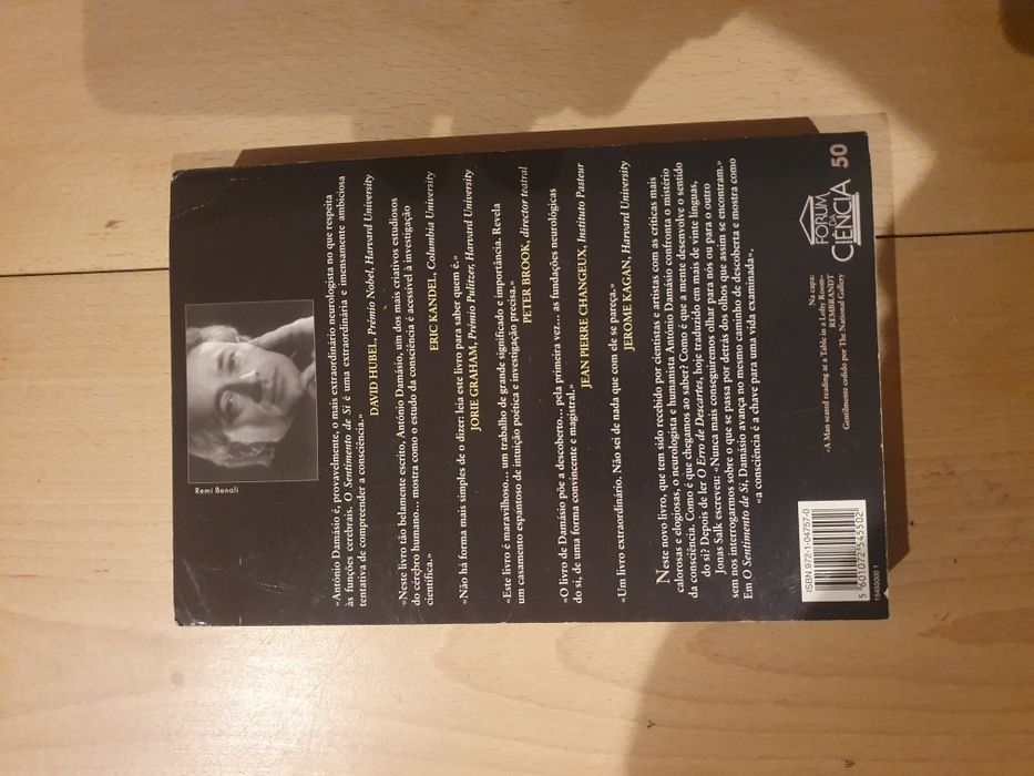 António Damásio o sentimento de si primeira edição
