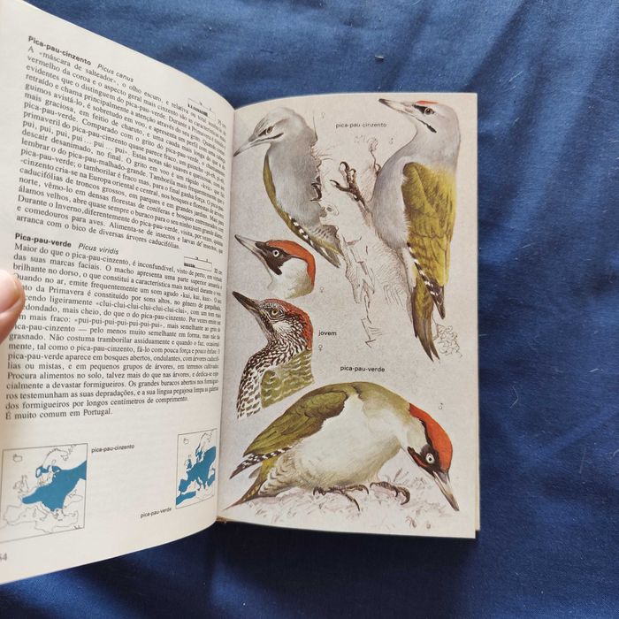 Lars Jonsson - Os Pássaros: Bosques, Parques e Jardins