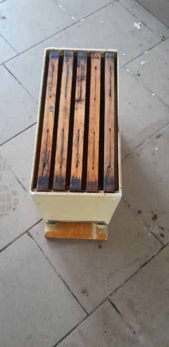 Ul Startery ramka wielkopolska