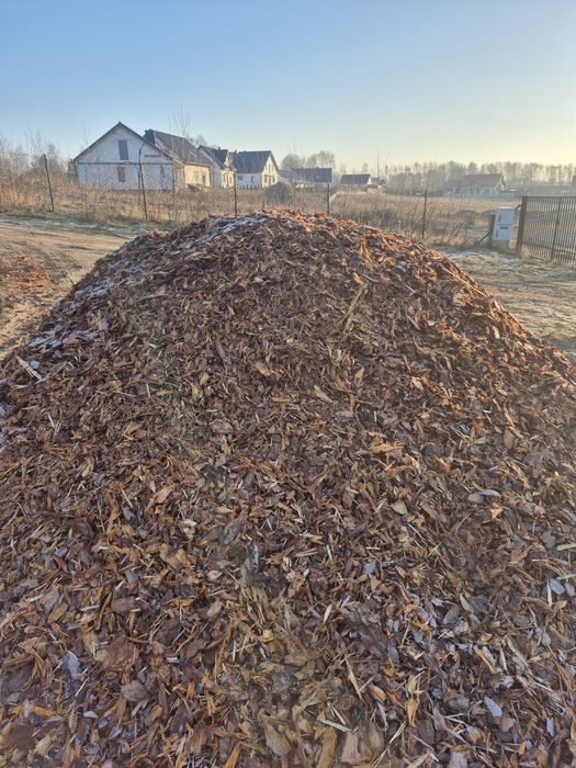 Kora Sosnowa Zrębki Iglaste  luzem lub worki