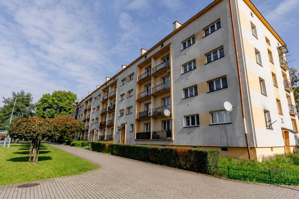 Zdjęcie 8