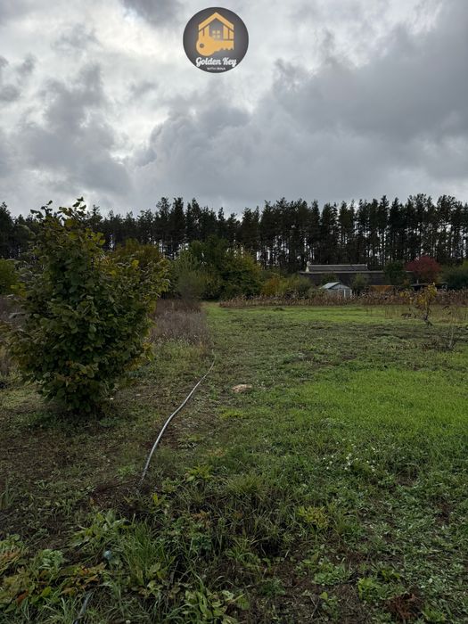 Продам 1.4га під садівництво, засаджено горіхами, бізнес, 40кмКиїв