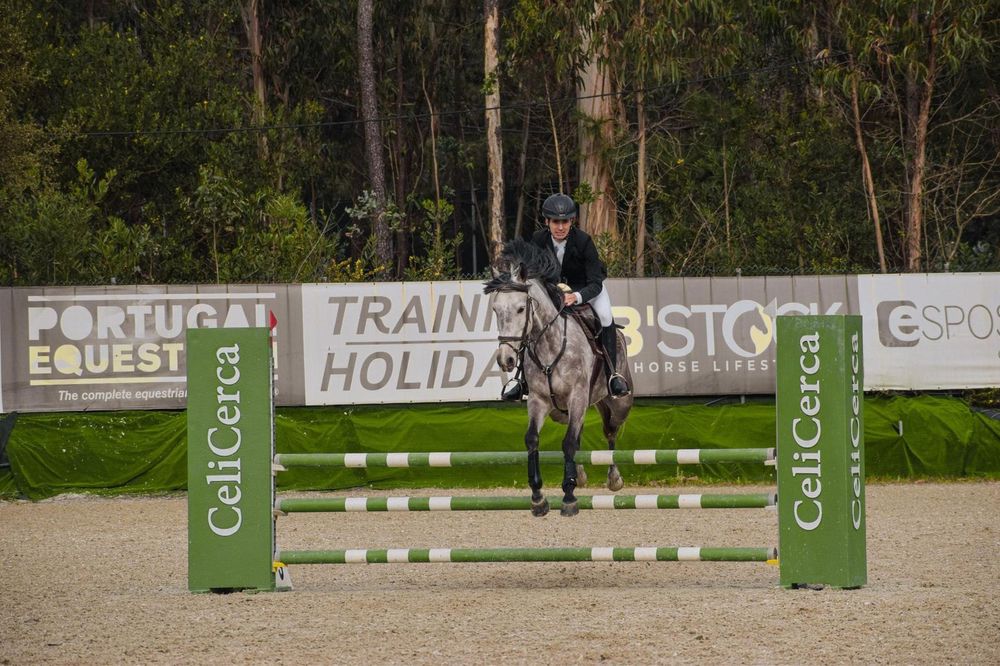 Égua Luso- Arabe 8anos