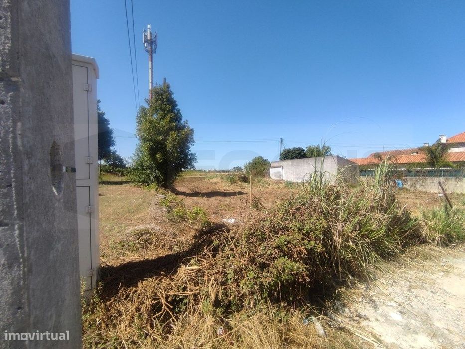Terreno em Esgueira - Mataduços