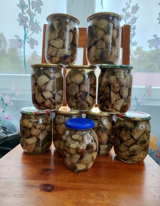 Сухі білі гриби Мариновані гриби  Грибний порошок Карпатський чай