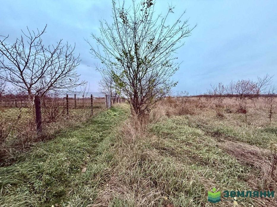 Продається земельна ділянка у с. Микитинці (7)