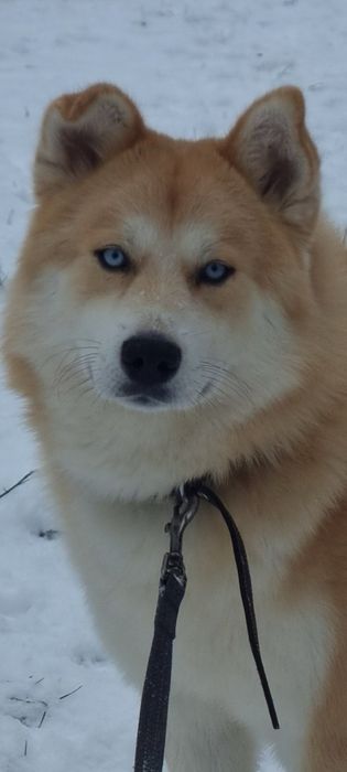 Терміново‼️Пошук родини для Патріка‼️