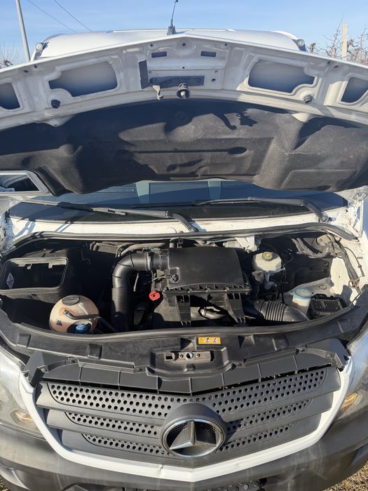 Sprinter 906 Bliźniak rama 16R Max