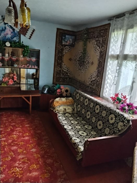 Продам будинок в селі літиня