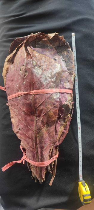 Vendo folha de capata