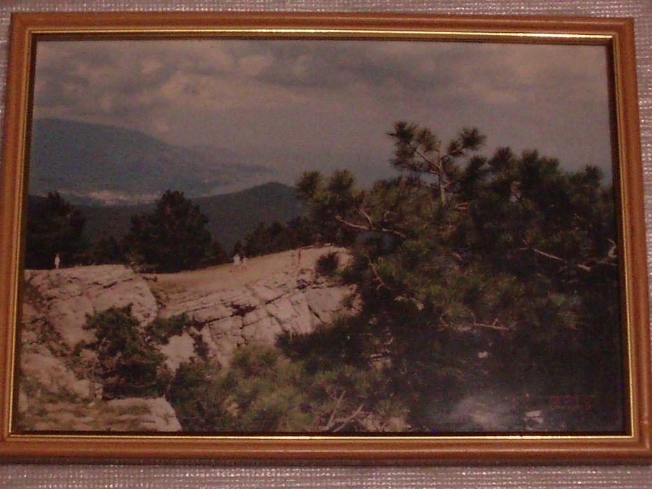 Міняю Нову Фотокартину на Ноутбук,Смартфон Samsung J3-J9, 908+доп