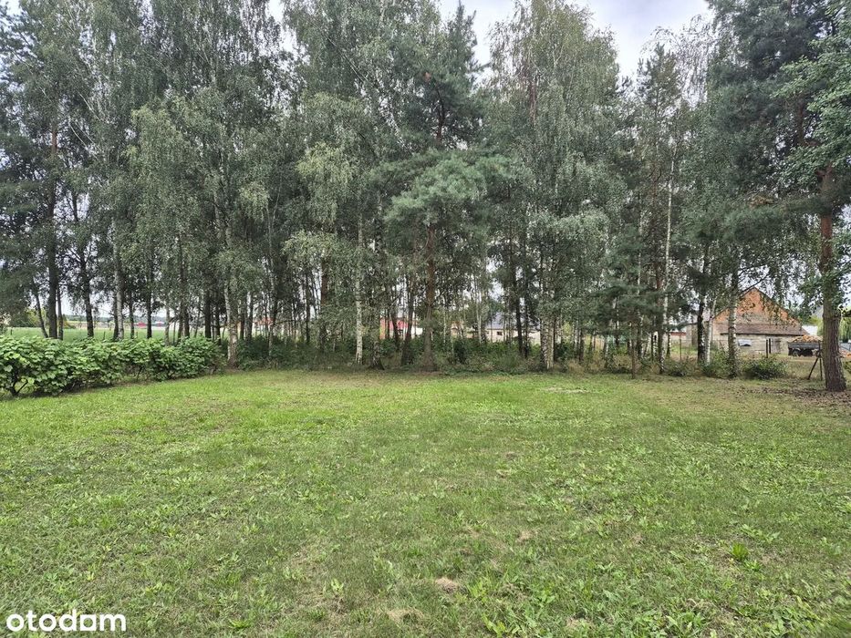 Wyjątkowa działka 3000 m² z lasem i winoroślą | Wioska | warunki