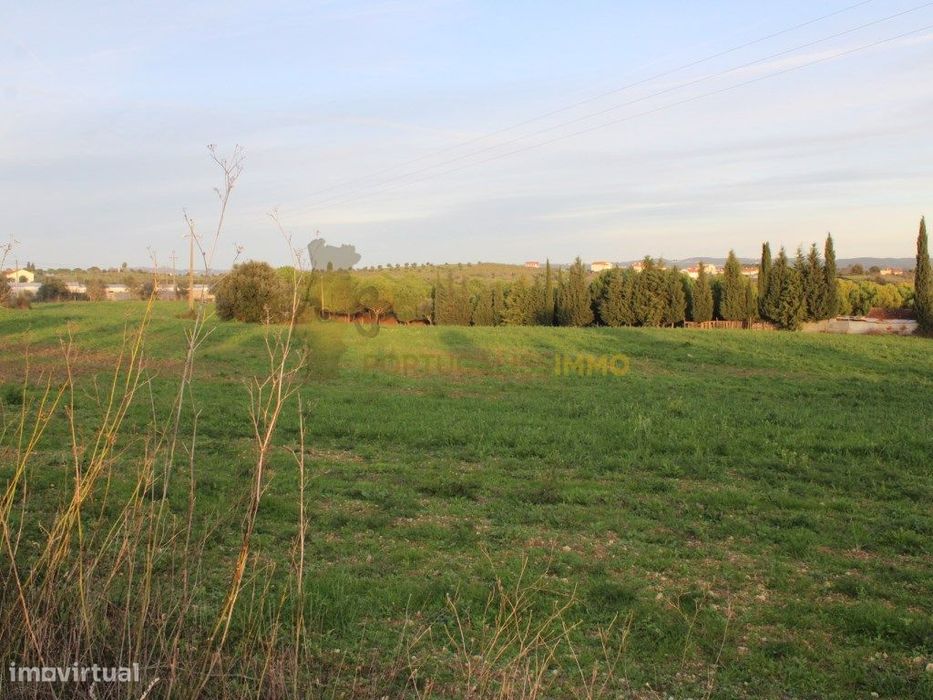 Terreno para construção com 13.000 m2, a 5 minutos de Tomar.