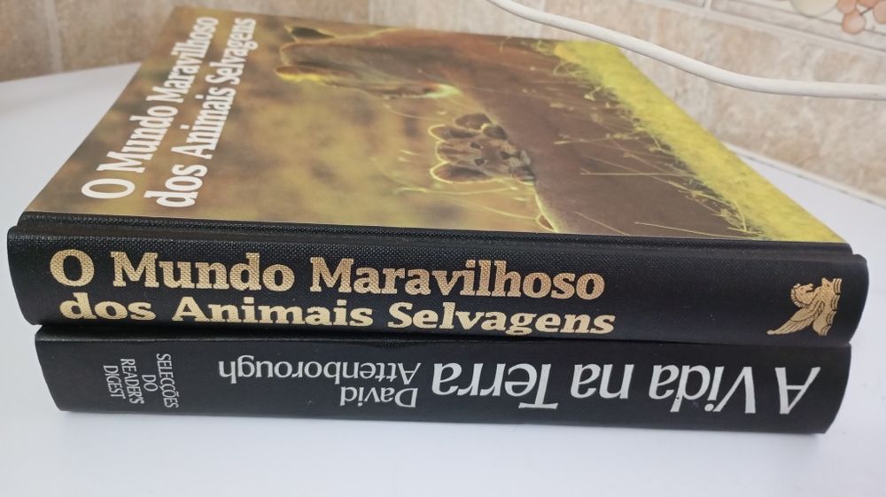 Conjunto de dois livros