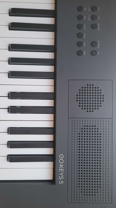 Roland GO:KEYS 5 Teclado Musical Cor Grafite + Mala Roland CB-B76 + Suporte de Partituras + Pedal
