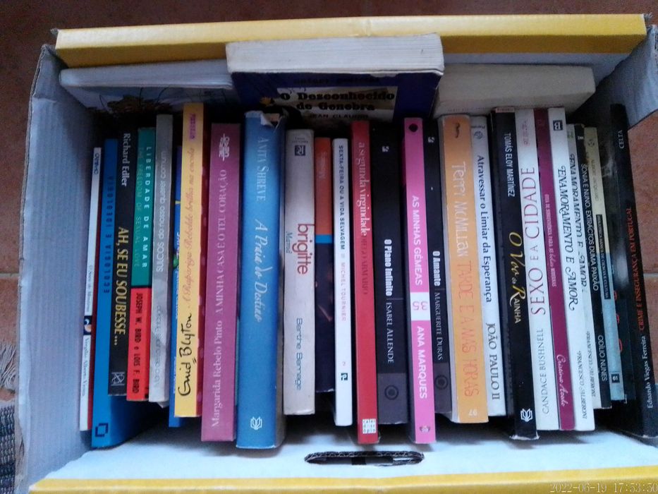 Livros VENDIDOS EM SEPARADO - Vários Preços Lotes 33+40+46+47