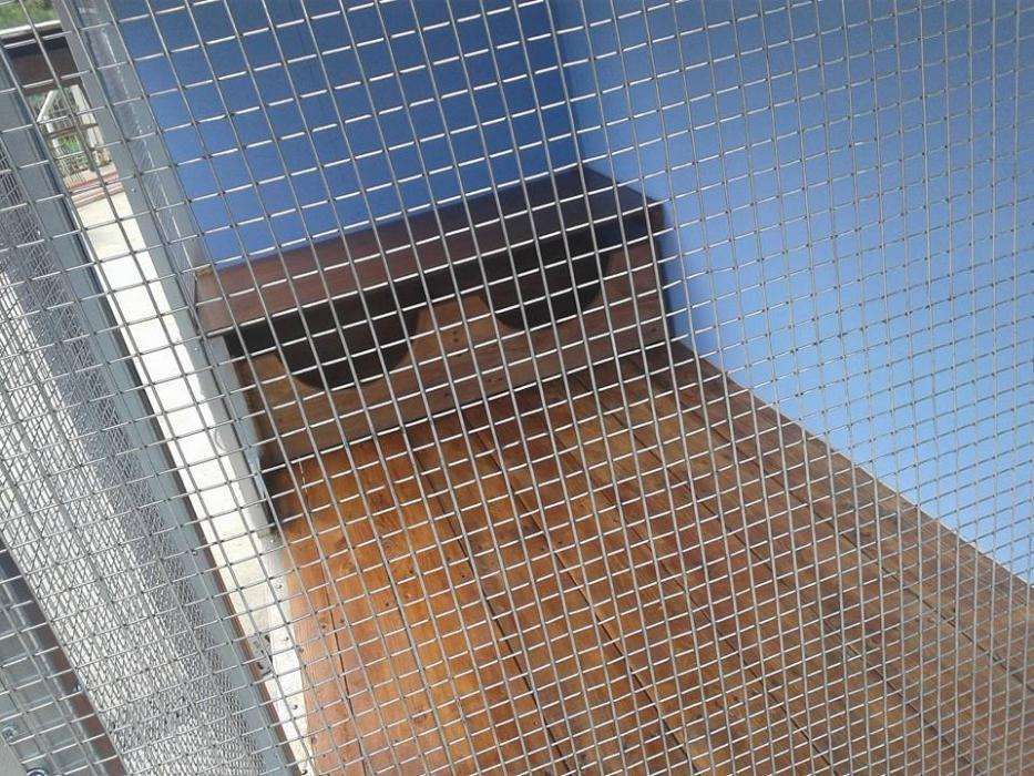 Casota ou galinheiro