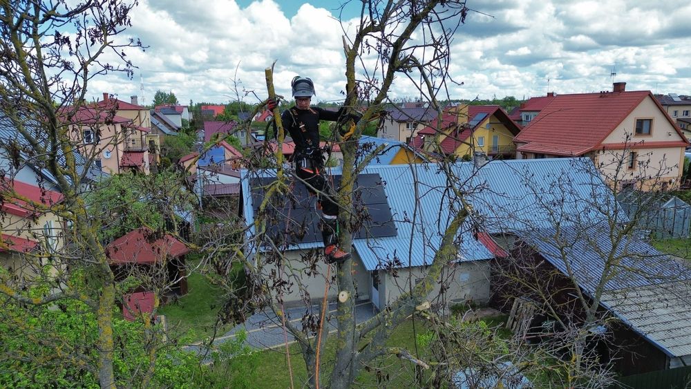 Wycinka drzew trudnych, niebezpiecznych