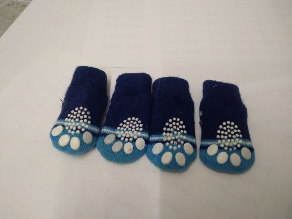 Одяг для маленької собачки 2-4 кг