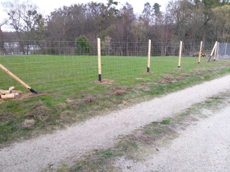 Ogrodzenie budowlane tymczasowe leśne już 16 zł. mb Nowy dwór gdański