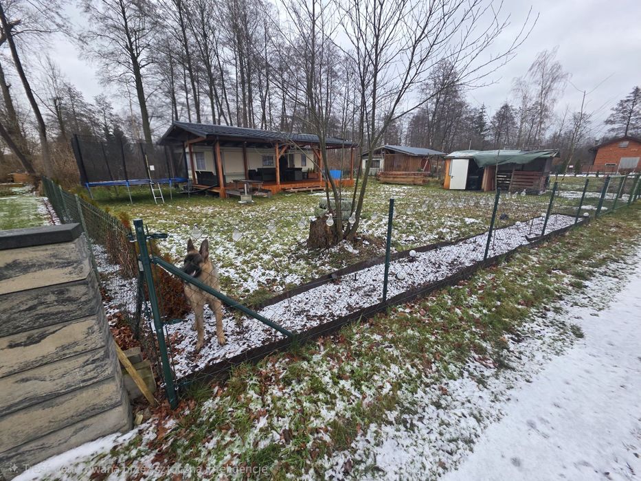 Działka z domek holenderski zabudowany z altaną