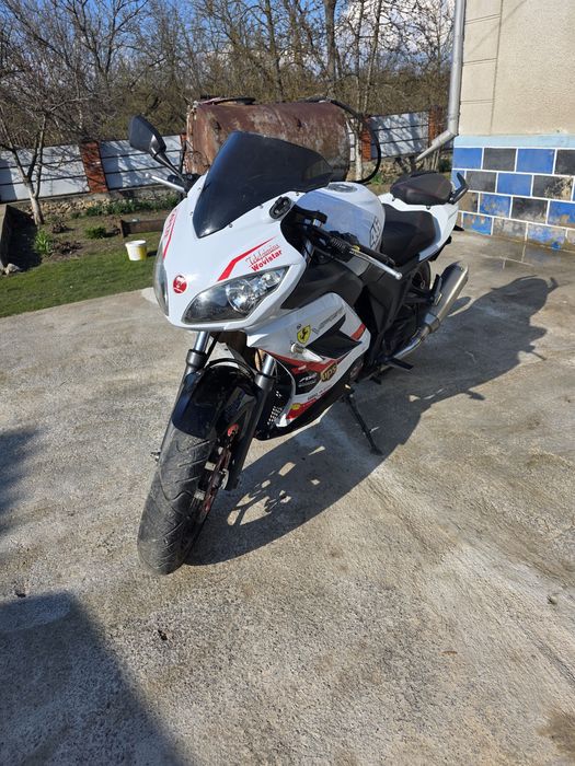 Viper V250 f2, 2021