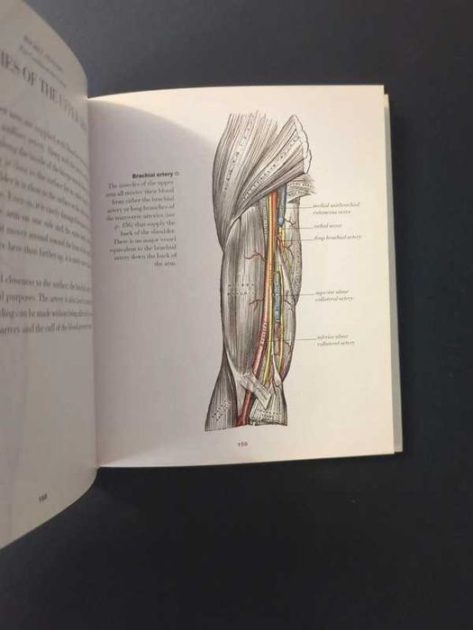 Livro Pocket Anatomy: A complete guide...