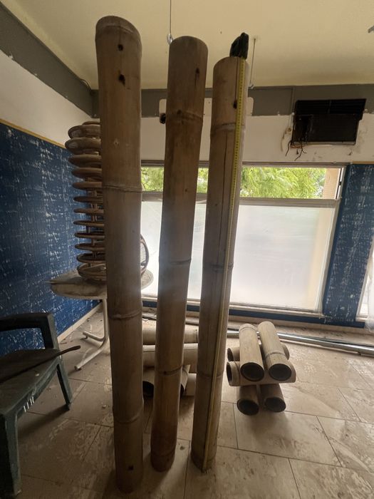 Vendo bambu com grossora de 15-18cm de 2m -4m