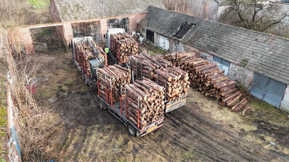 Drewno opałowe kominkowe  S2A s2aAP WDP - papierówka ,kłoda