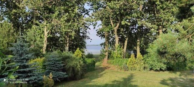 Domki pod topolami, wynajem.