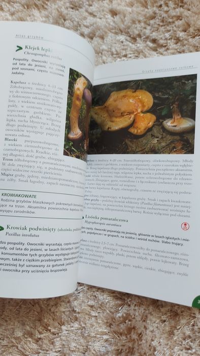 Podreczny atlas grzybów