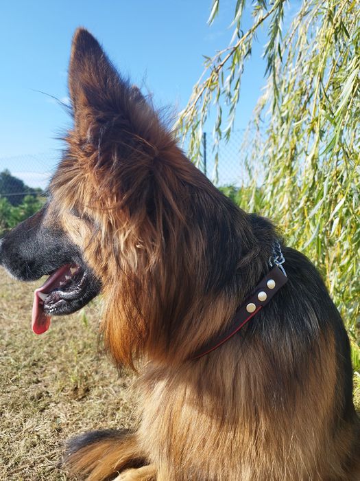 Obroża biothane martingale