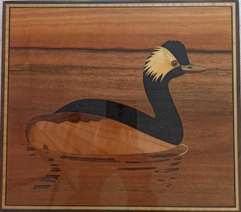 Perkoz dwuczuby (podiceps cristatus] intarsowny obraz