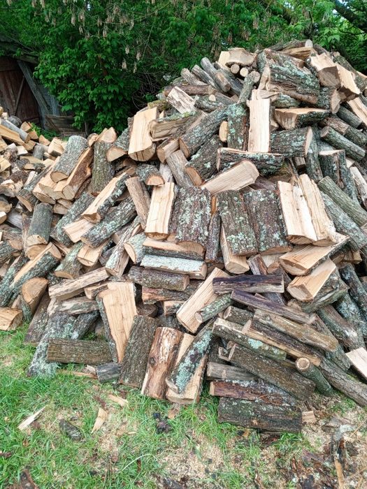 Купить дрова різних порід з доставкою