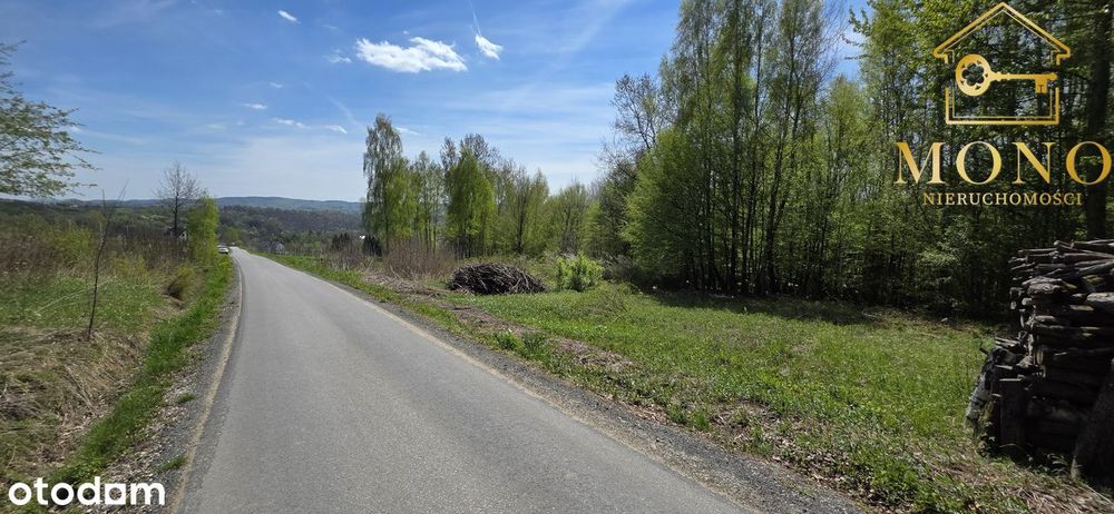 Duża, widokowa działka z lasem na terenie Pogórza Ciężkowickiego - Widok 4