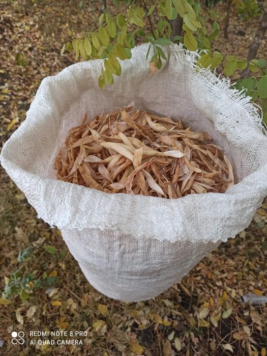 Продам створки фасолі 550 гр.за 3кг