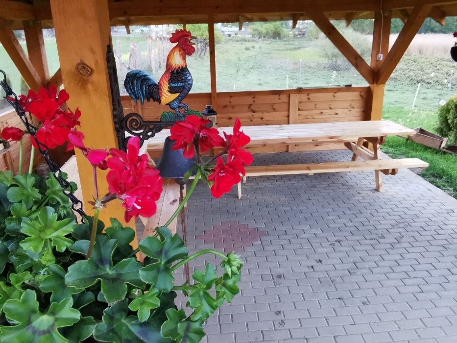 domki letniskowo-wypoczynkowe nad jeziorem i rzeką