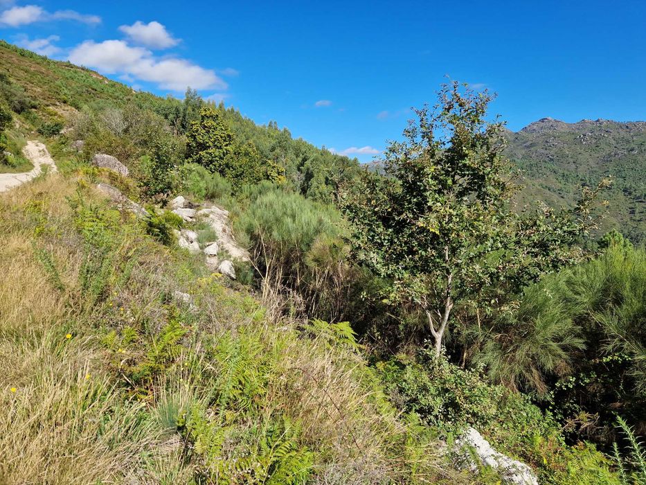 Terreno / Gerês / Rio Caldo