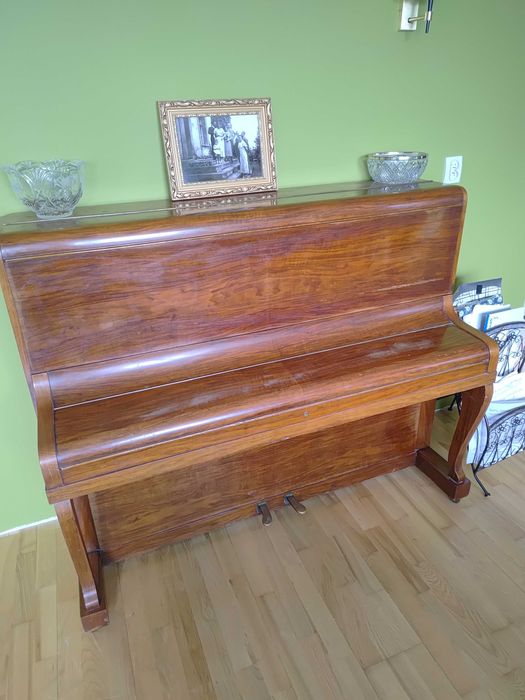 Pianino Calisia zadbane