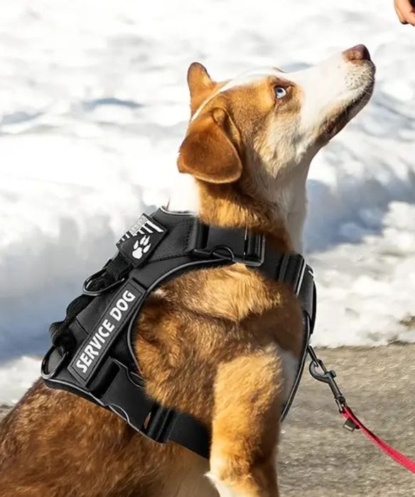 Taktyczne Szelki odblaskowe