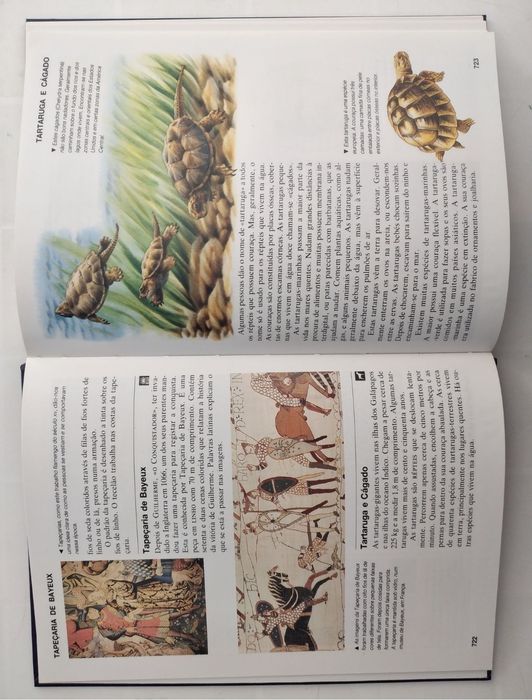 Enciclopédia escolar em 10 livros novos na caixa original