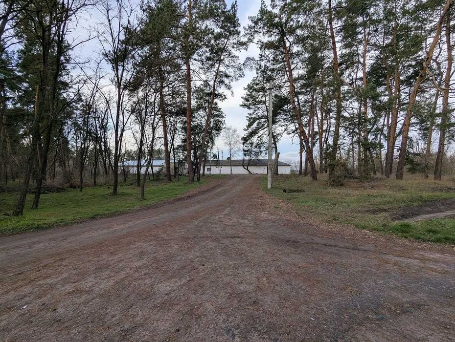 Продаж рентабельної птахоферми поблизу Городище. Кури як бізнес