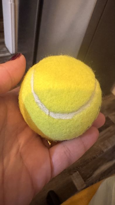 Bolas de Padel (Várias Marcas) – 1€/Unidade