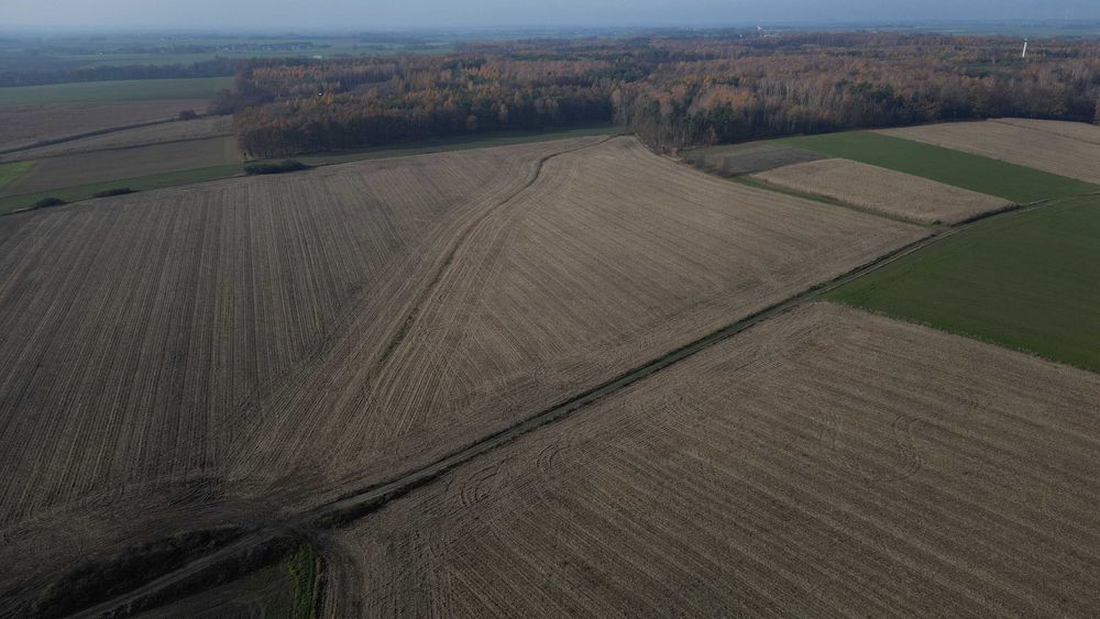 Zbrosławice - działka rolna 3216 m² - Widok 5