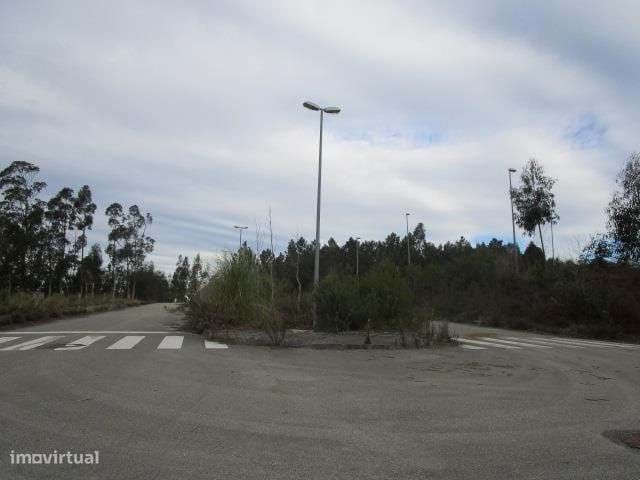 Terreno com 13.880 m² em Valongo do Vouga, Águeda  Excelente Oportu...